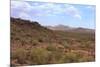 Saguaro Cactus Landscape Organ Pipe National Park Arizona-Charles Harker-Mounted Photographic Print