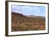 Saguaro Cactus Landscape Organ Pipe National Park Arizona-Charles Harker-Framed Photographic Print