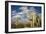 Saguaro Cactus on the Mountainside in Tuscon, Arizona-pdb1-Framed Photographic Print