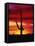 Saguaro Cactus Silhouetted at Sunset-James Randklev-Framed Stretched Canvas