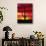 Saguaro Cactus Silhouetted at Sunset-James Randklev-Stretched Canvas displayed on a wall