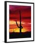 Saguaro Cactus Silhouetted at Sunset-James Randklev-Framed Premium Photographic Print