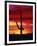 Saguaro Cactus Silhouetted at Sunset-James Randklev-Framed Premium Photographic Print