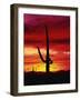 Saguaro Cactus Silhouetted at Sunset-James Randklev-Framed Photographic Print