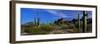 Saguaro Cactus Sonoran Desert Scene Saguaro National Park Arizona USA-null-Framed Premium Photographic Print