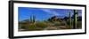 Saguaro Cactus Sonoran Desert Scene Saguaro National Park Arizona USA-null-Framed Premium Photographic Print