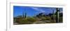 Saguaro Cactus Sonoran Desert Scene Saguaro National Park Arizona USA-null-Framed Premium Photographic Print