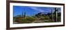 Saguaro Cactus Sonoran Desert Scene Saguaro National Park Arizona USA-null-Framed Premium Photographic Print