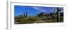 Saguaro Cactus Sonoran Desert Scene Saguaro National Park Arizona USA-null-Framed Photographic Print