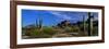 Saguaro Cactus Sonoran Desert Scene Saguaro National Park Arizona USA-null-Framed Photographic Print