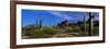 Saguaro Cactus Sonoran Desert Scene Saguaro National Park Arizona USA-null-Framed Photographic Print