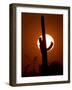 Saguaro Cactus Sunset, Picacho Peak, Arizona-Matt York-Framed Photographic Print