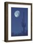 saguaro, cactus with moon, Arizona usa-Edward Myles-Framed Photographic Print