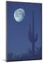 saguaro, cactus with moon, Arizona usa-Edward Myles-Mounted Photographic Print