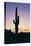 Saguaro Cactus-DLILLC-Stretched Canvas