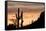 Saguaro Cactus-wollertz-Framed Stretched Canvas