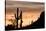 Saguaro Cactus-wollertz-Stretched Canvas