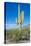 Saguaro Cactus-kobby_dagan-Stretched Canvas