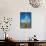 Saguaro Cactus-kobby_dagan-Framed Stretched Canvas displayed on a wall