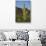 Saguaro Cactus-DLILLC-Photographic Print displayed on a wall