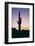 Saguaro Cactus-DLILLC-Framed Photographic Print