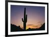 Saguaro Cactus-DLILLC-Framed Photographic Print