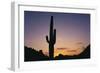 Saguaro Cactus-DLILLC-Framed Photographic Print