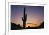 Saguaro Cactus-DLILLC-Framed Photographic Print