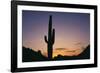 Saguaro Cactus-DLILLC-Framed Photographic Print