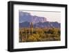 Saguaro Cactus-wollertz-Framed Photographic Print