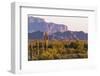 Saguaro Cactus-wollertz-Framed Photographic Print