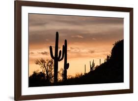 Saguaro Cactus-wollertz-Framed Photographic Print