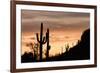 Saguaro Cactus-wollertz-Framed Photographic Print