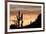 Saguaro Cactus-wollertz-Framed Photographic Print