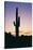 Saguaro Cactus-DLILLC-Stretched Canvas