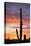 Saguaro Forest at Sunset, Saguaro National Park, Arizona, USA-Jamie & Judy Wild-Stretched Canvas