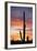 Saguaro Forest at Sunset, Saguaro National Park, Arizona, USA-Jamie & Judy Wild-Framed Photographic Print