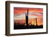 Saguaro Forest at Sunset, Saguaro National Park, Arizona, USA-Jamie & Judy Wild-Framed Photographic Print