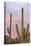 Saguaro Forest Saguaro National Park, Arizona, USA-Jamie & Judy Wild-Stretched Canvas