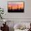 Saguaro Forest, Sonoran Desert, Saguaro National Park, Arizona, USA-null-Framed Stretched Canvas displayed on a wall