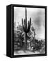 Saguaro Fruit Gatherers-Edward S Curtis-Framed Stretched Canvas