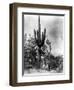 Saguaro Fruit Gatherers-Edward S Curtis-Framed Giclee Print