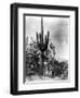 Saguaro Fruit Gatherers-Edward S Curtis-Framed Giclee Print