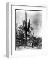 Saguaro Fruit Gatherers-Edward S Curtis-Framed Premium Giclee Print