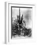 Saguaro Fruit Gatherers-Edward S Curtis-Framed Premium Giclee Print