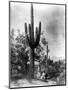 Saguaro Fruit Gatherers-Edward S Curtis-Mounted Premium Giclee Print