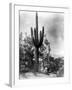 Saguaro Fruit Gatherers-Edward S Curtis-Framed Giclee Print