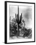 Saguaro Fruit Gatherers-Edward S Curtis-Framed Giclee Print