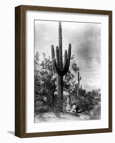 Saguaro Fruit Gatherers-Edward S Curtis-Framed Giclee Print