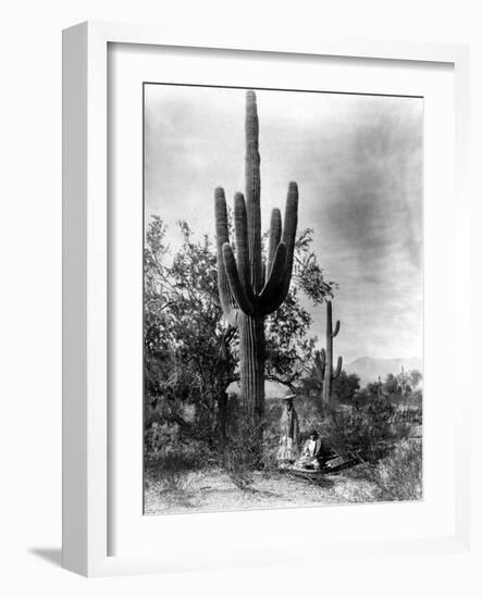 Saguaro Fruit Gatherers-Edward S Curtis-Framed Giclee Print